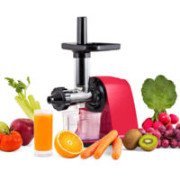 ARTUS-REBER-extractor-horizontal aspiración-E01