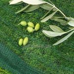 AXEL Olive harvesting net anti-thorn 90 gr/sqm green