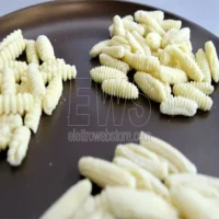 imperia-millegnocchi-accessory-gnocchi-gnocchetti-cavatel-rigatelli-pasta-manual