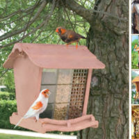 Marchioro mangiatoia rifugio uccelli in libertà JOK 1 24x26x23