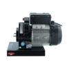 reber-motore-motoriduttore-600-watt-0.80-hp-1400-rpm-n.5-9602n